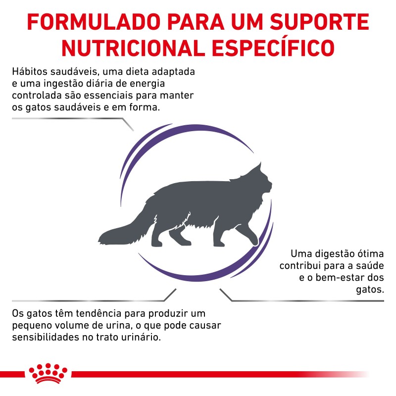 Royal Canin VET Adult - Ração seca para gato