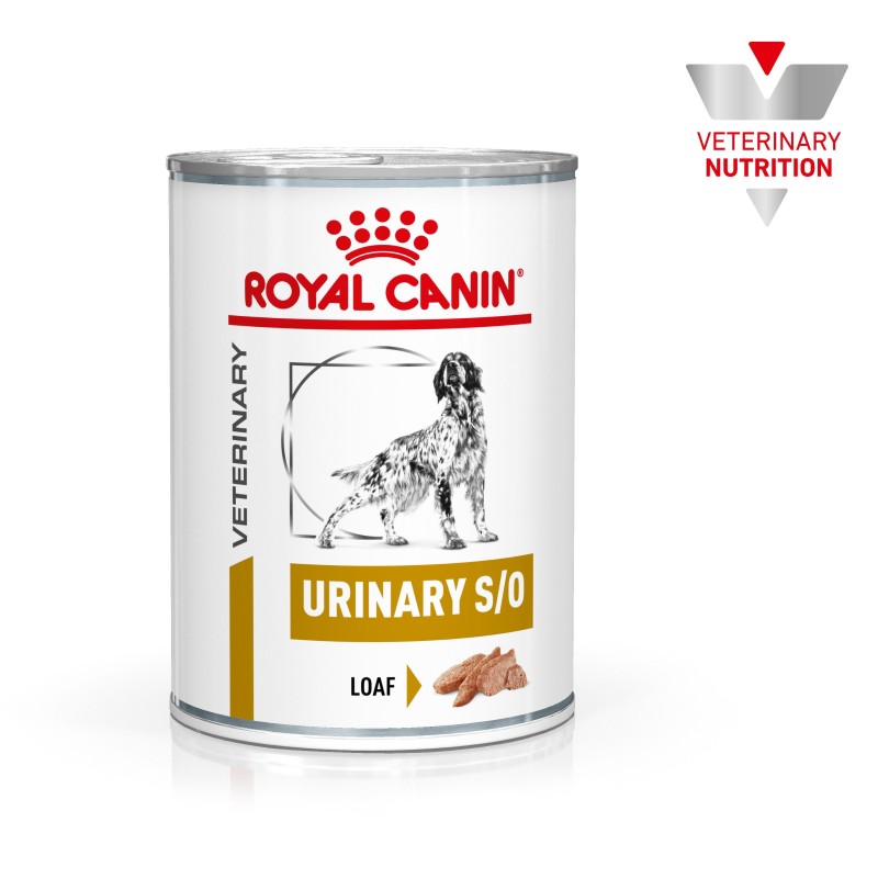 Royal Canin VET Urinary S/O - Alimento em patê para cão adulto com problemas urinários