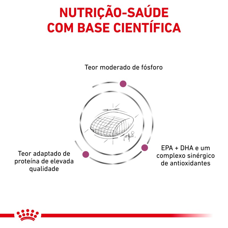 Royal Canin VET Early Renal - Ração seca para cão adulto com doença renal precoce