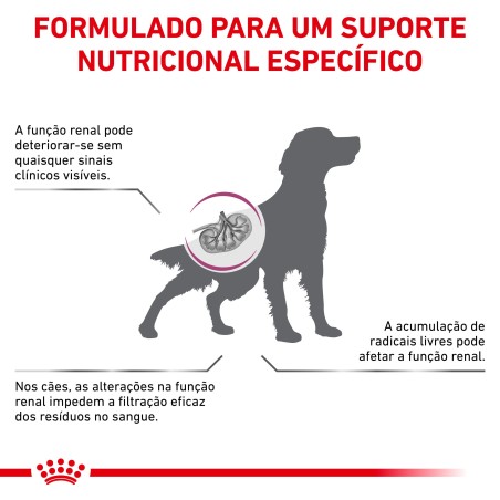 Royal Canin VET Early Renal - Ração seca para cão adulto com doença renal precoce