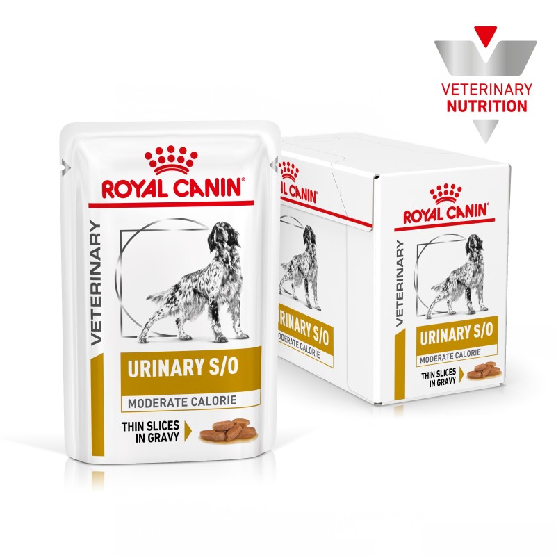 Royal Canin VET Urinary S/O Moderate Calorie - Alimento em molho para cão adulto com problemas urinários