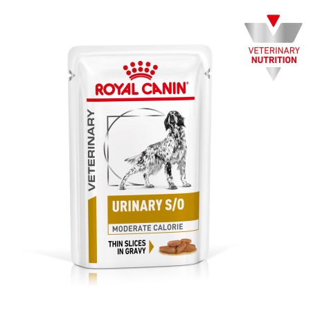 Royal Canin VET Urinary S/O Moderate Calorie - Alimento em molho para cão adulto com problemas urinários