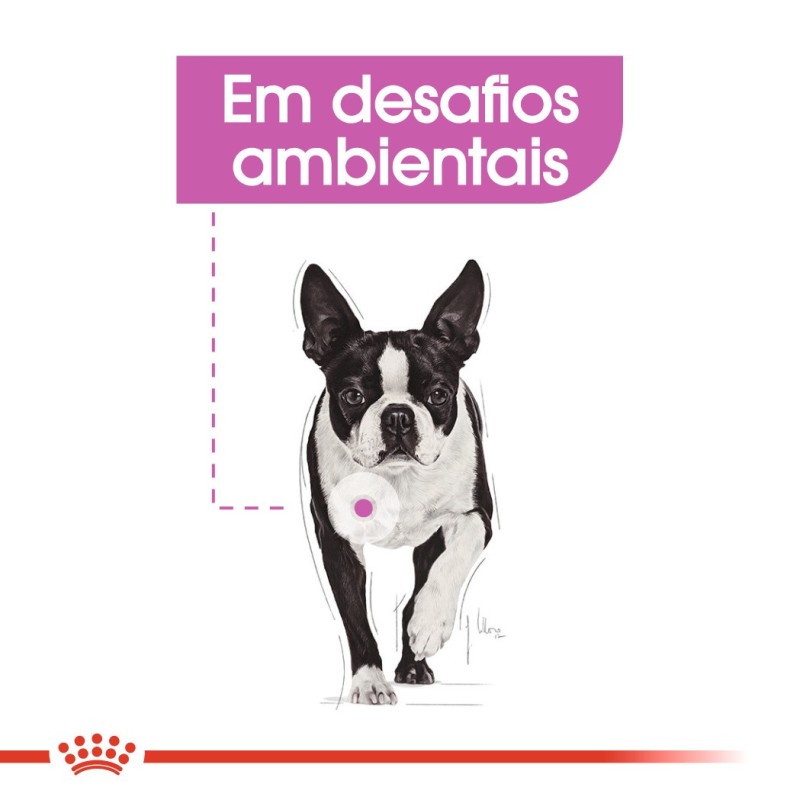 Royal Canin Relax Care Mini Adult - Ração seca para cão de porte pequeno com dificuldade de adaptação a mudanças