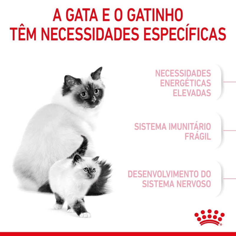 Royal Canin Mother & Babycat - Ração seca para gatinho recém-nascido e gata gestante/lactante