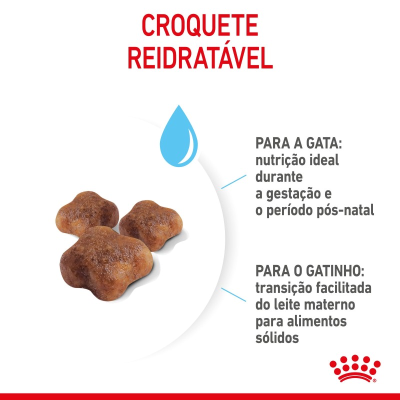 Royal Canin Mother & Babycat - Ração seca para gatinho recém-nascido e gata gestante/lactante