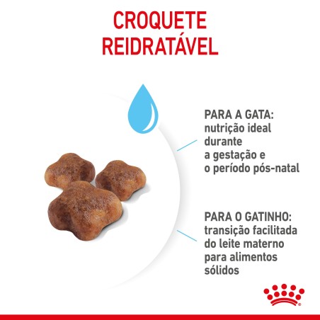 Royal Canin Mother & Babycat - Ração seca para gatinho recém-nascido e gata gestante/lactante