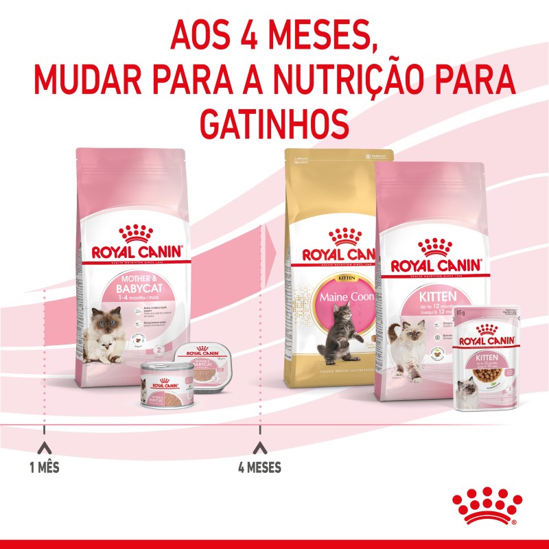 Royal Canin Mother & Babycat - Ração seca para gatinho recém-nascido e gata gestante/lactante