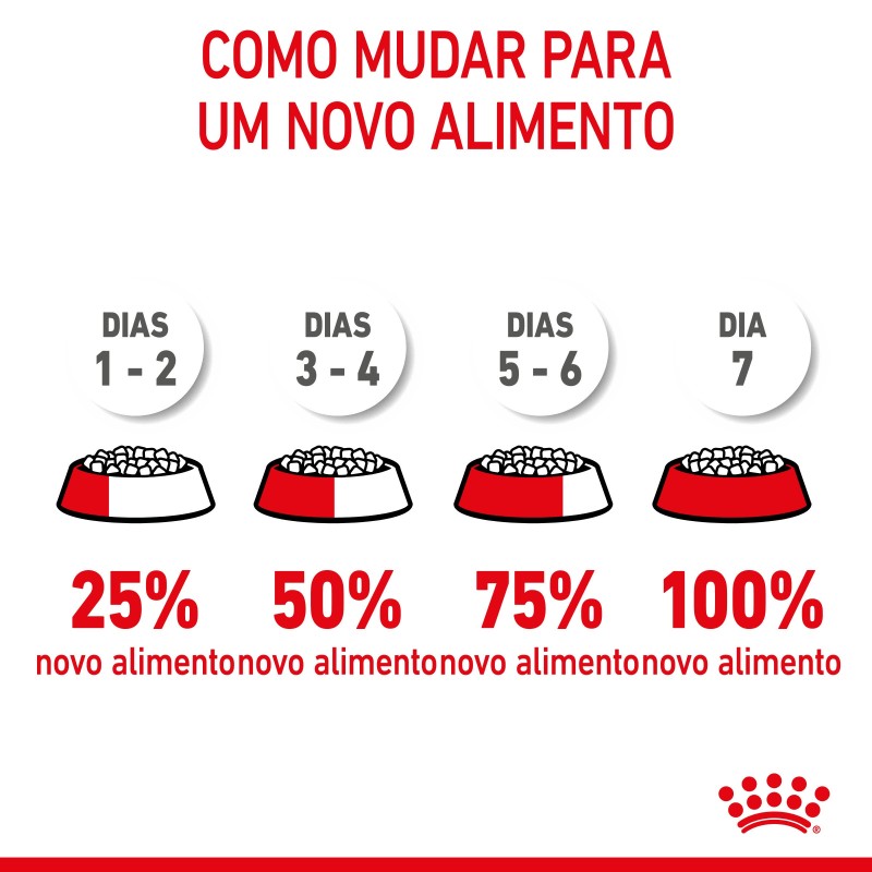 Royal Canin Mother & Babycat - Ração seca para gatinho recém-nascido e gata gestante/lactante