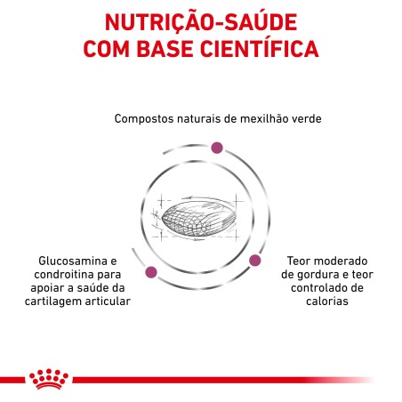 Royal Canin VET Mobility Support - Ração seca para cão com problemas de mobilidade