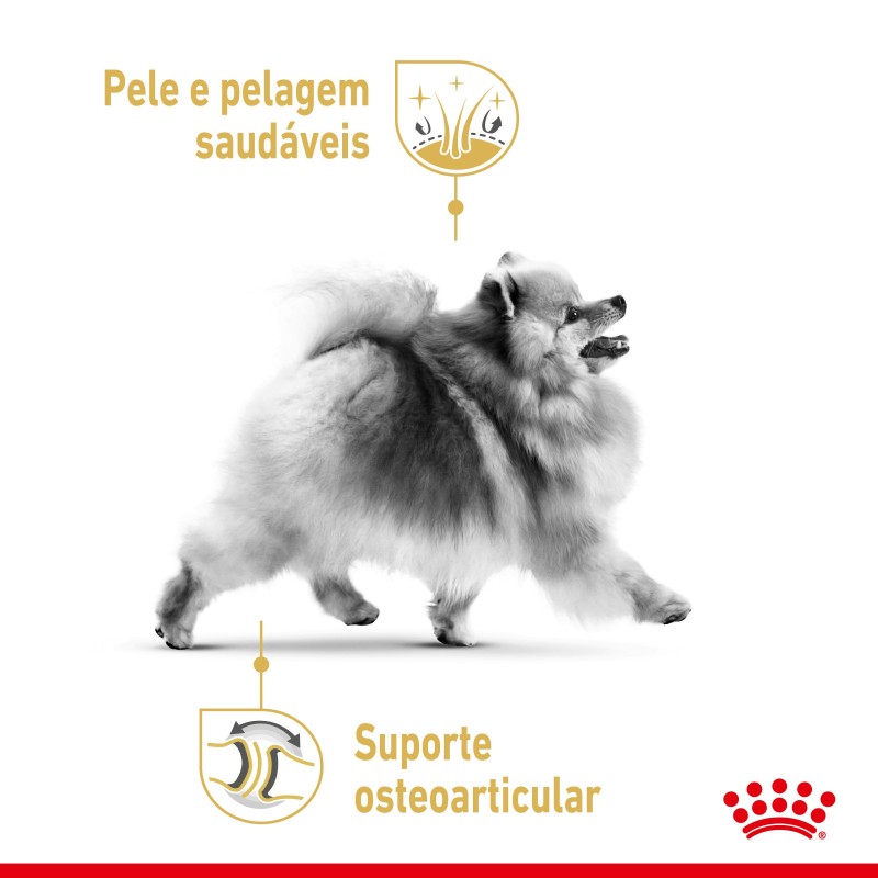 Royal Canin Pomerian Adult - Ração seca para cão adulto de raça