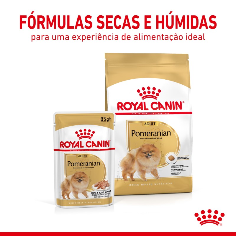 Royal Canin Pomerian Adult - Ração seca para cão adulto de raça