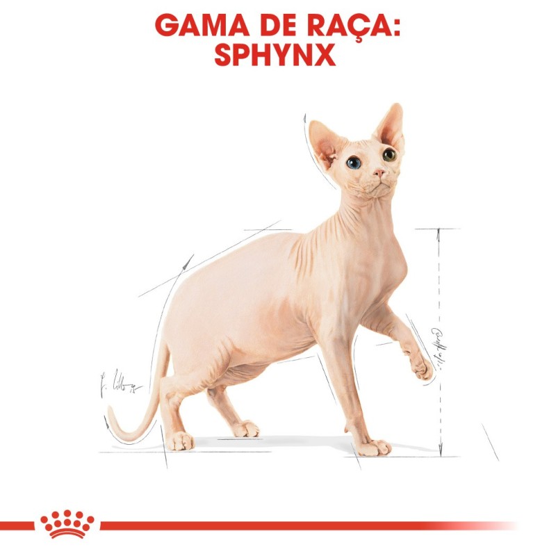 Royal Canin Sphynx Adult - Ração seca para gato de raça