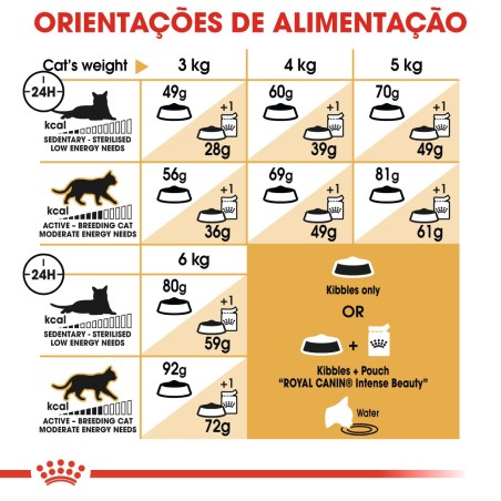 Royal Canin Sphynx Adult - Ração seca para gato de raça