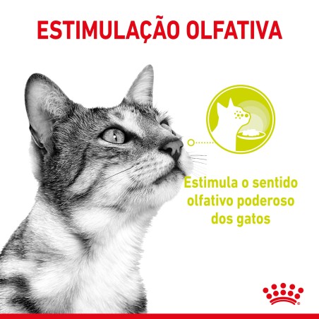 Royal Canin Sensory Smell Adult - Alimento em molho para gato para estimulo gustativo