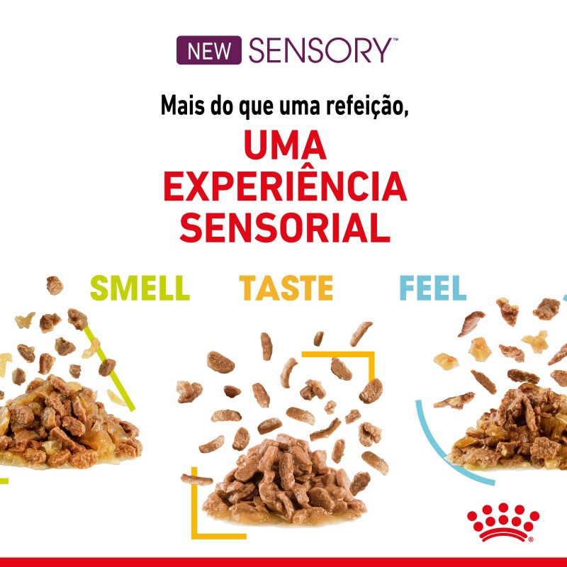 Royal Canin Sensory Smell Adult - Alimento em molho para gato para estimulo gustativo