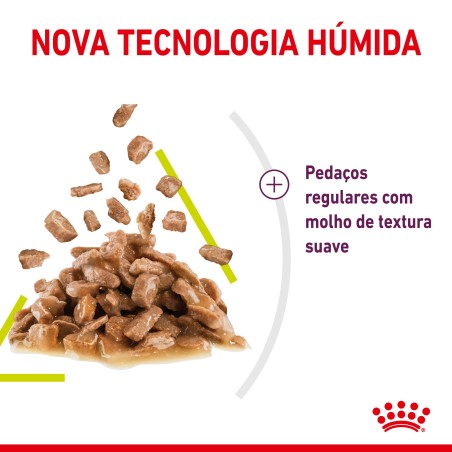 Royal Canin Sensory Smell Adult - Alimento em molho para gato para estimulo gustativo