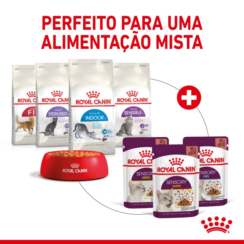 Royal Canin Sensory Smell Adult - Alimento em molho para gato para estimulo gustativo