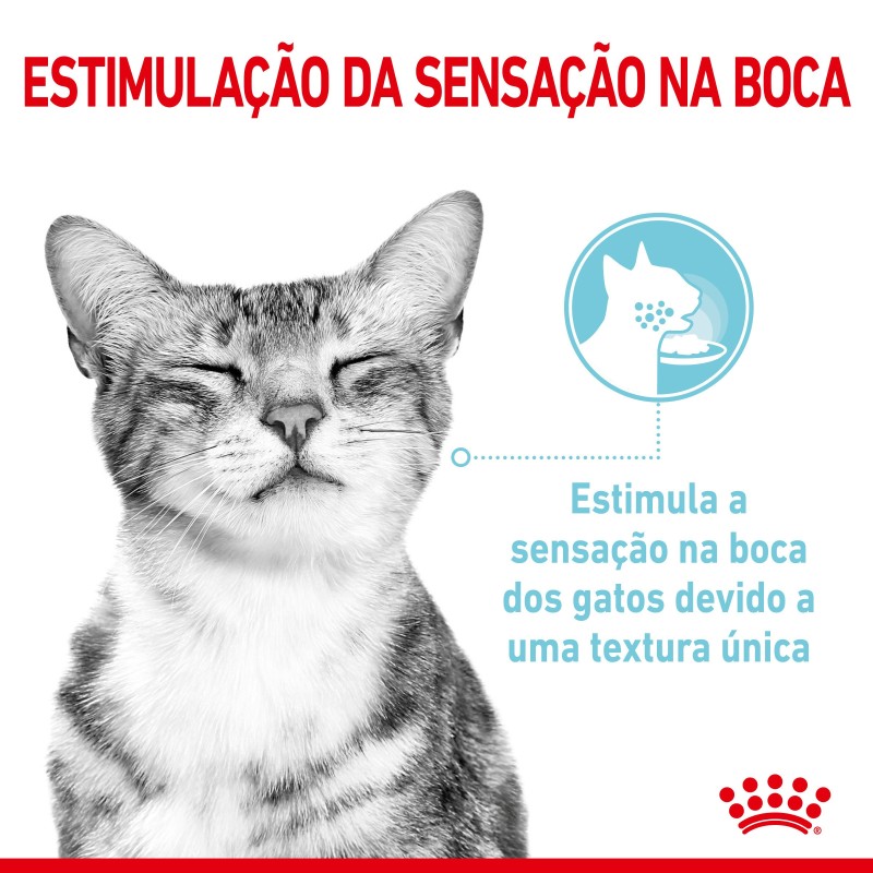 Royal Canin Sensory Feel Adult - Alimento em molho para gato para estimulo olfativo