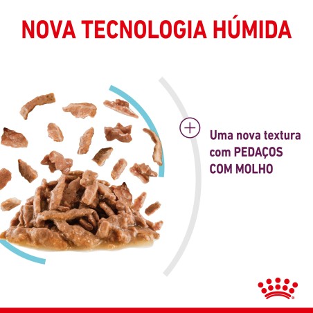 Royal Canin Sensory Feel Adult - Alimento em molho para gato para estimulo olfativo