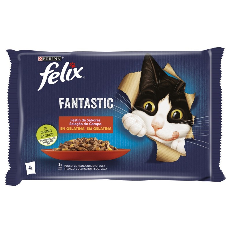 Felix Fantastic - Seleção do campo em gelatina