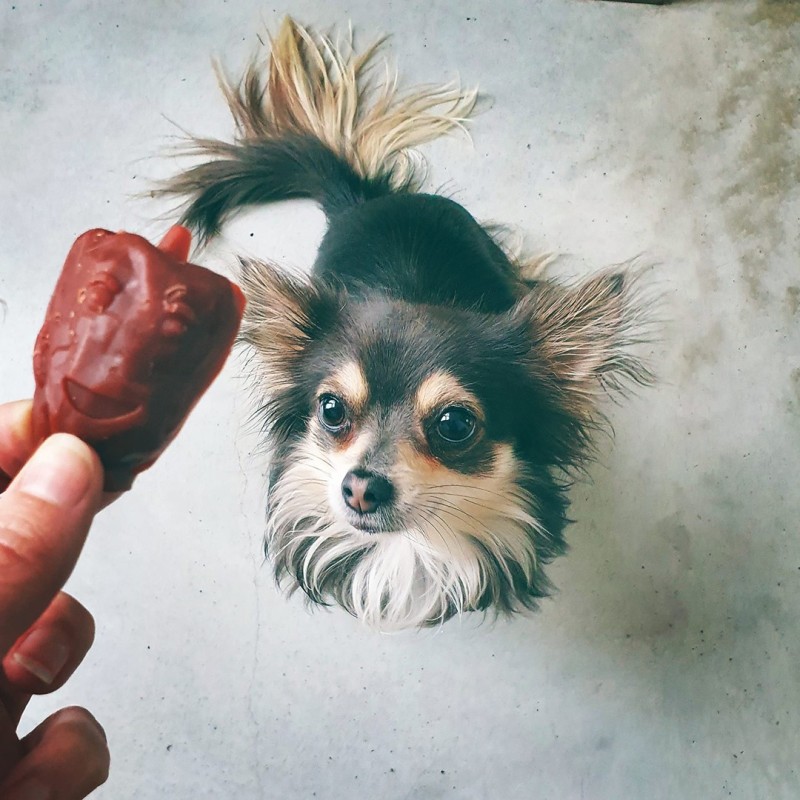 Snacks vegetarianos Veggie Friends para cão - Garden Bites
