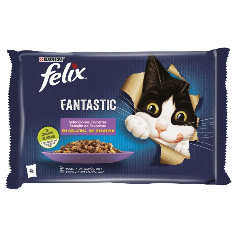 Felix Fantastic - Seleção de favoritos em gelatina