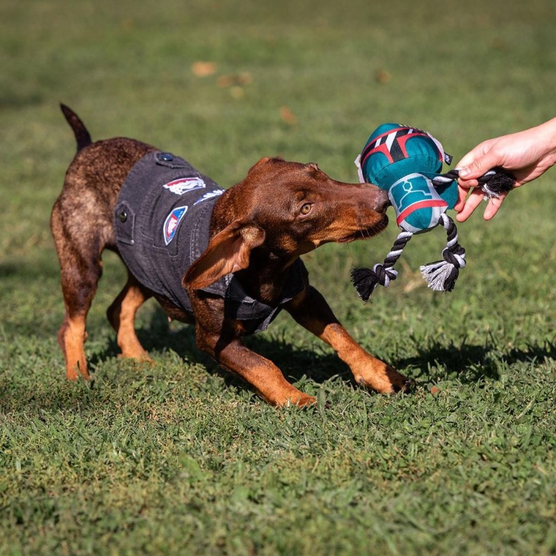 Casaco de ganga para cão - Star Wars