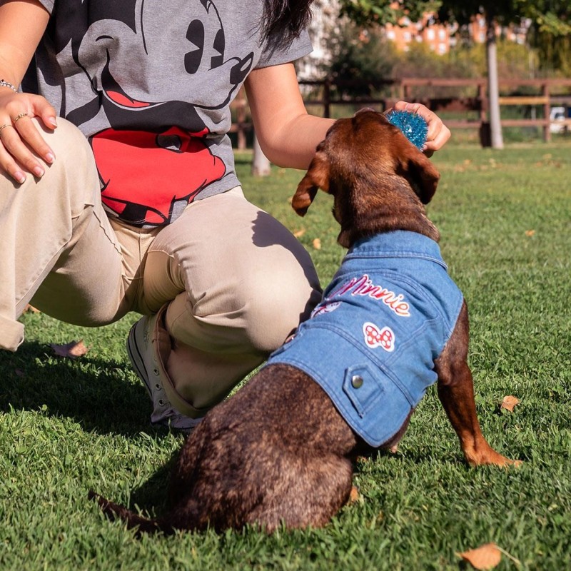 Casaco de ganga Minnie Mouse para cão - Disney