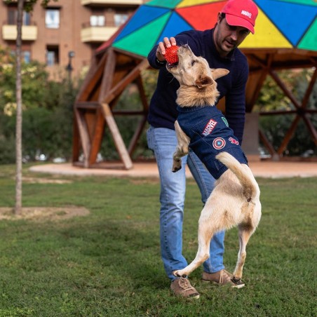 Casaco de ganga para cão - Marvel