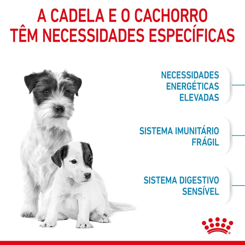 Royal Canin Starter Mother & Babydog Mini - Ração seca para cachorro recém-nascido e cadela gestante/lactante de porte pequeno