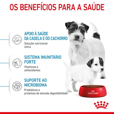 Royal Canin Starter Mother & Babydog Mini - Ração seca para cachorro recém-nascido e cadela gestante/lactante de porte pequeno