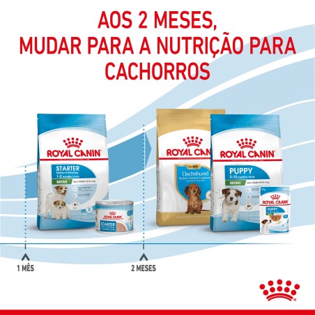 Royal Canin Starter Mother & Babydog Mini - Ração seca para cachorro recém-nascido e cadela gestante/lactante de porte pequeno