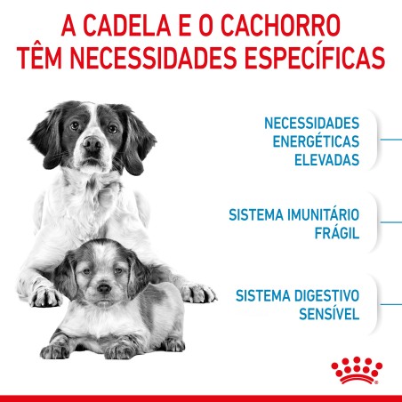 Royal Canin Starter Mother & Babydog Medium - Ração seca para cachorro recém-nascido e cadela gestante/lactante de porte médio