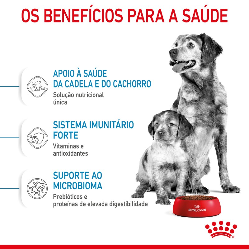 Royal Canin Starter Mother & Babydog Medium - Ração seca para cachorro recém-nascido e cadela gestante/lactante de porte médio