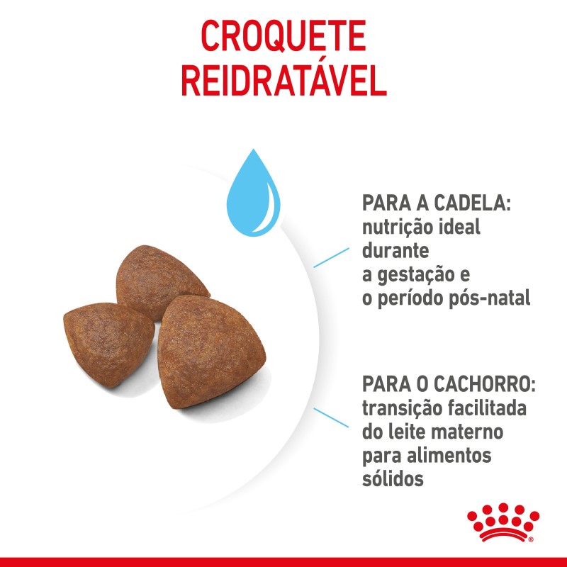 Royal Canin Starter Mother & Babydog Medium - Ração seca para cachorro recém-nascido e cadela gestante/lactante de porte médio