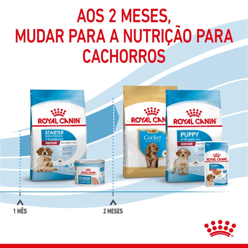 Royal Canin Starter Mother & Babydog Medium - Ração seca para cachorro recém-nascido e cadela gestante/lactante de porte médio