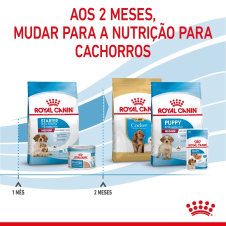 Royal Canin Starter Mother & Babydog Medium - Ração seca para cachorro recém-nascido e cadela gestante/lactante de porte médio