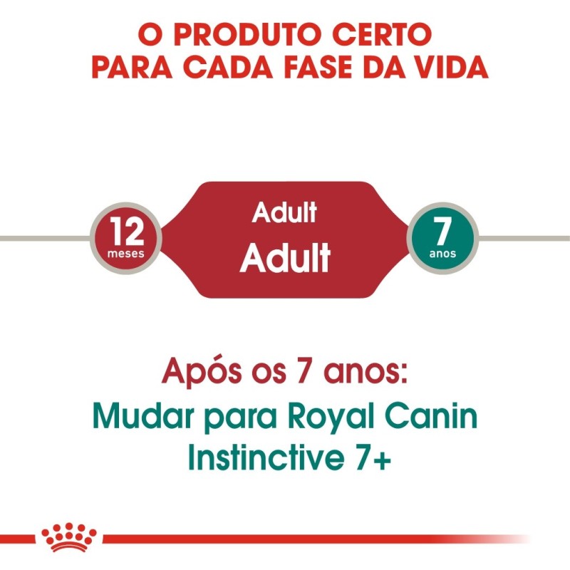 Royal Canin Instinctive Adult - Alimento em geleia para gato