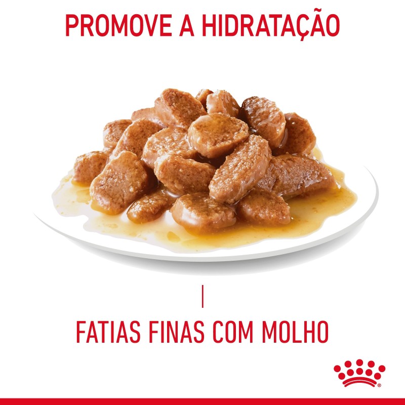 Royal Canin Hair & Skin Care - Alimento em molho para gato com sensibilidade de pele e pelo