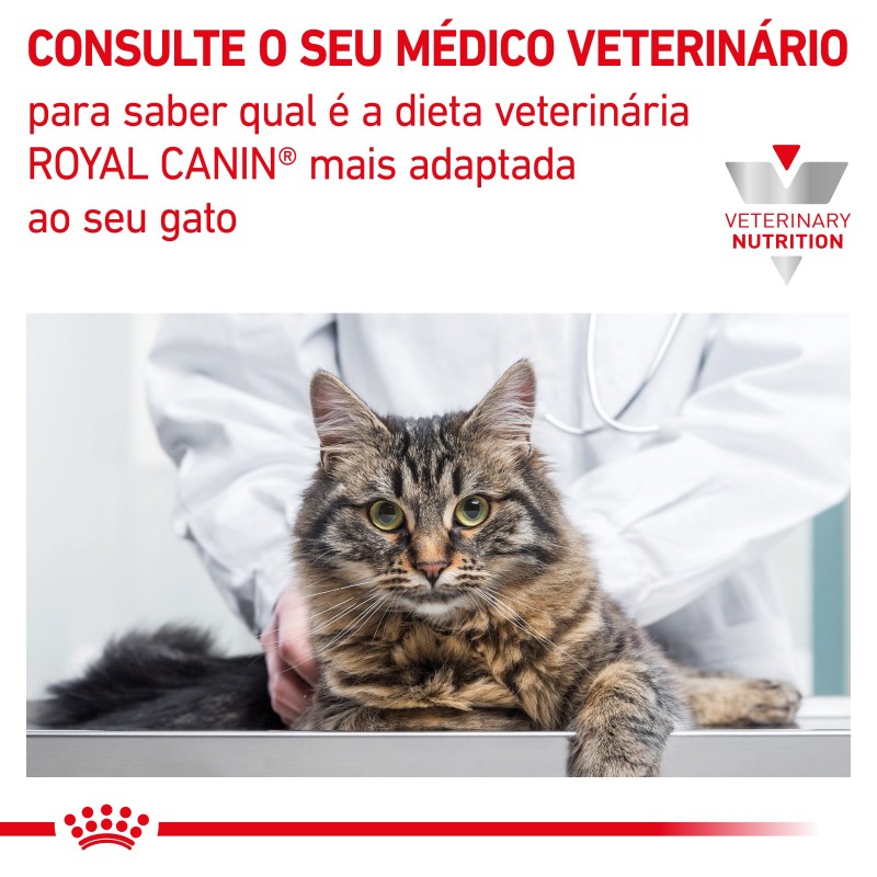 Royal Canin VET Mature Consult Balance - Ração seca para gato sénior com excesso de peso