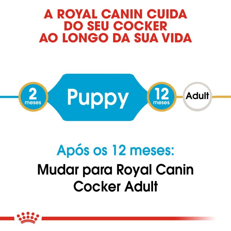 Royal Canin Cocker Puppy - Ração seca para cachorro de raça