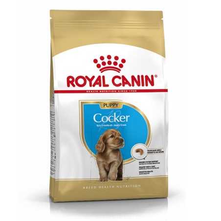 Royal Canin Cocker Puppy - Ração seca para cachorro de raça