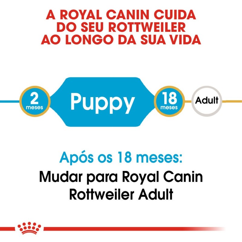 Royal Canin Rottweiler Puppy - Ração seca para cachorro de raça