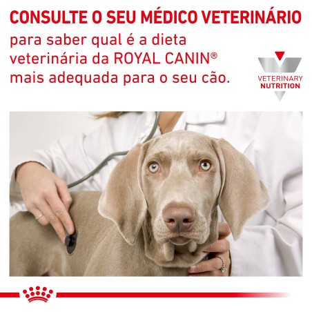 Royal Canin VET Hypoallergenic Puppy - Ração seca para cachorro com alergias alimentares