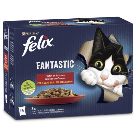 Felix Fantastic - Saborosa seleção em gelatina - Pack 12