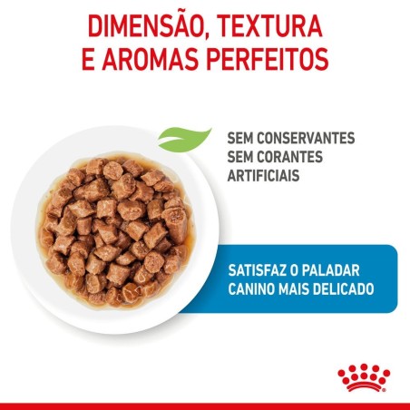 Royal Canin Puppy X-Small - Alimento em molho para cachorro de porte muito pequeno