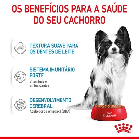 Royal Canin Puppy X-Small - Alimento em molho para cachorro de porte muito pequeno