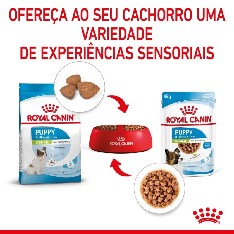 Royal Canin Puppy X-Small - Alimento em molho para cachorro de porte muito pequeno