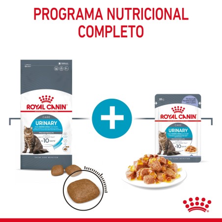 Royal Canin Urinary Care - Alimento em geleia para gato adulto com sensibilidade urinária