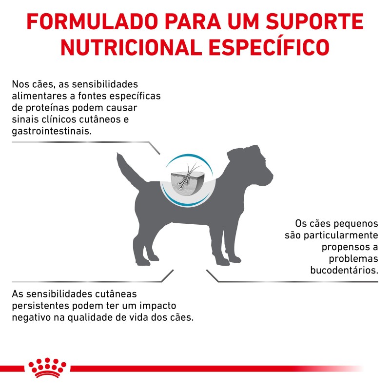 Royal Canin VET Anallergenic Small Dogs  - Ração seca para cão adulto pequeno com alergias